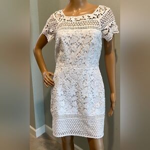 off the shoulder crochet dress baring finish Wedding Guest Dresses Dresses how to style a halter neck asymmetric dress SIZE UP FOR THIS STYLE:X-Large 14
